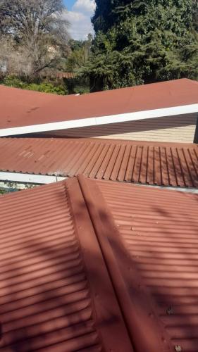 95-0119-Africa-Paint-and-Renovations